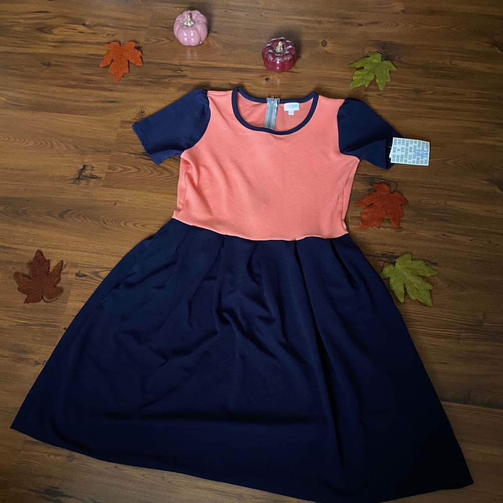 Brand new Lularoe Amelia dress-A line midi